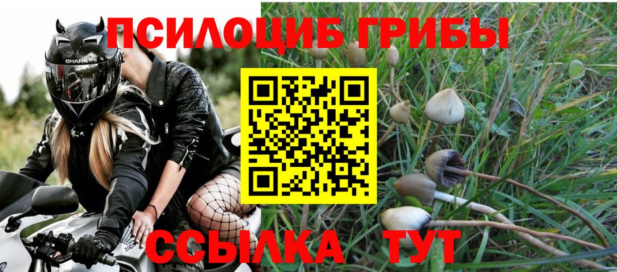 Псилоцибиновые грибы ЛСД Острогожск